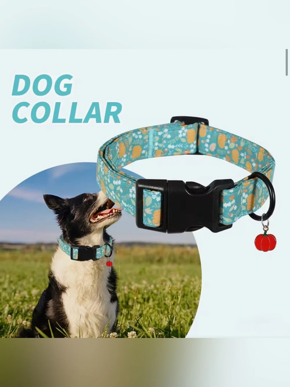 Autumn Thanksgiving Dog Collar w/pumpkin charm. Various Adjustable Sizes.